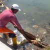 Peduli Lingkungan, Pemuda Pokdarwis Pungut Sampah dan Kotoran Manusia di Tambat Labuh Reok