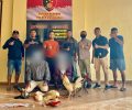 Arena Sabung Ayam di Kecamatan Ruteng Disergap, Polisi Amankan Dua Tersangka