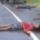 Dua Penjaga Lahan Di Rangko Dibunuh,Bule Australia Diamankan